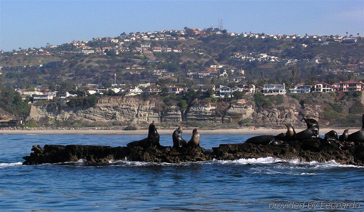 Holiday Inn Express San Clemente N - Beach Area By Ihg Buitenkant foto